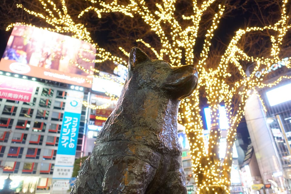 f:id:snowvalley:20220121225323j:plain