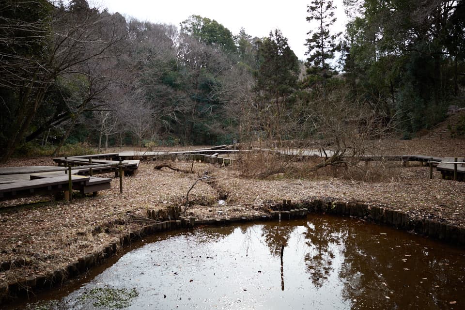 f:id:snowvalley:20220124195239j:plain