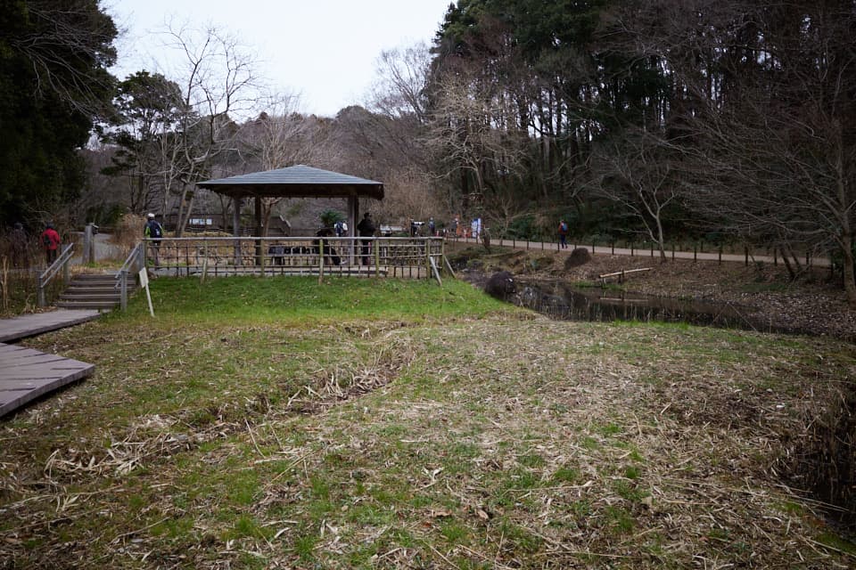 f:id:snowvalley:20220124230810j:plain