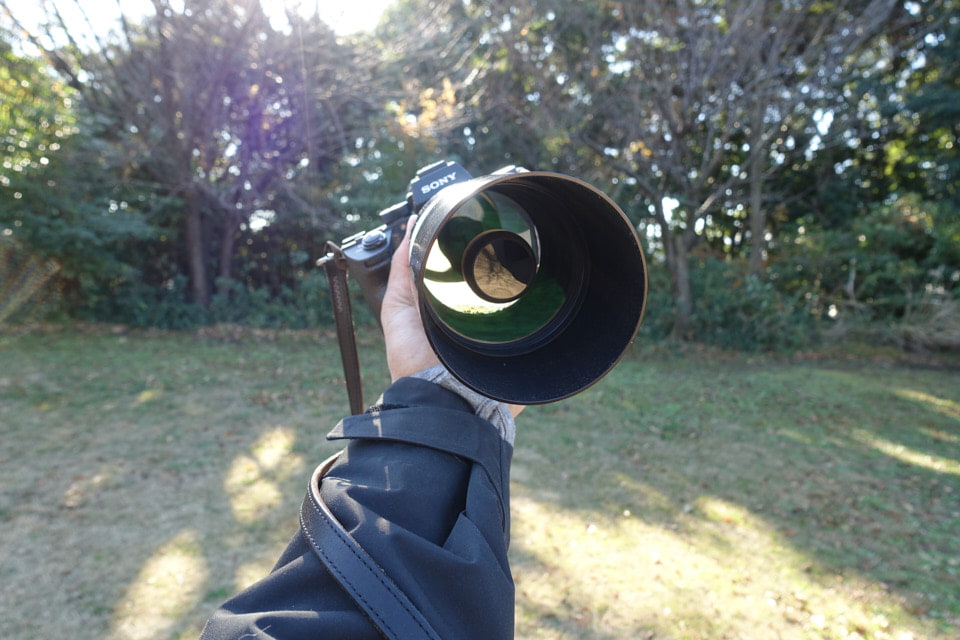 レフレックスレンズのリングボケは使えるの？野鳥を撮影した作例で考え