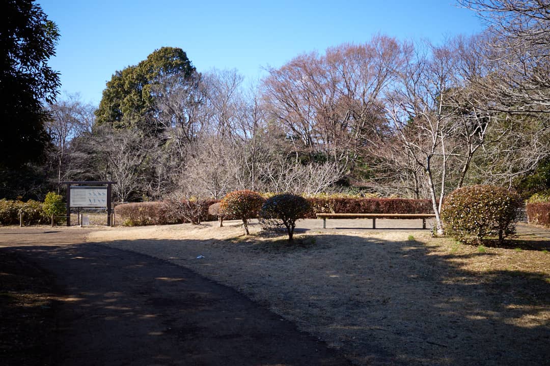 f:id:snowvalley:20220308153318j:plain