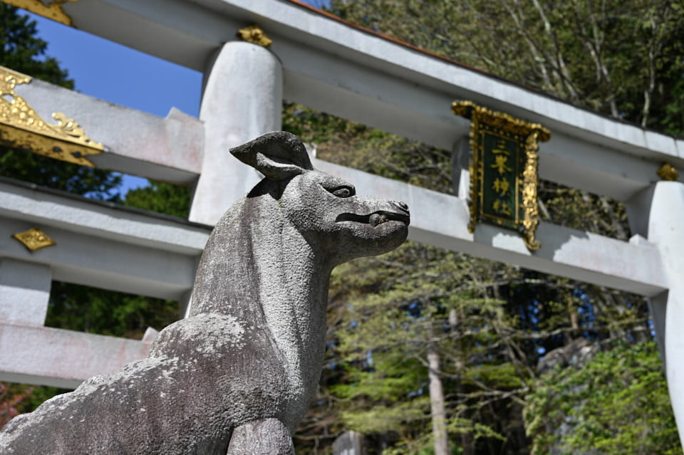 三峯神社の三ツ鳥居手前にある、神使の狼像（狛狼）。