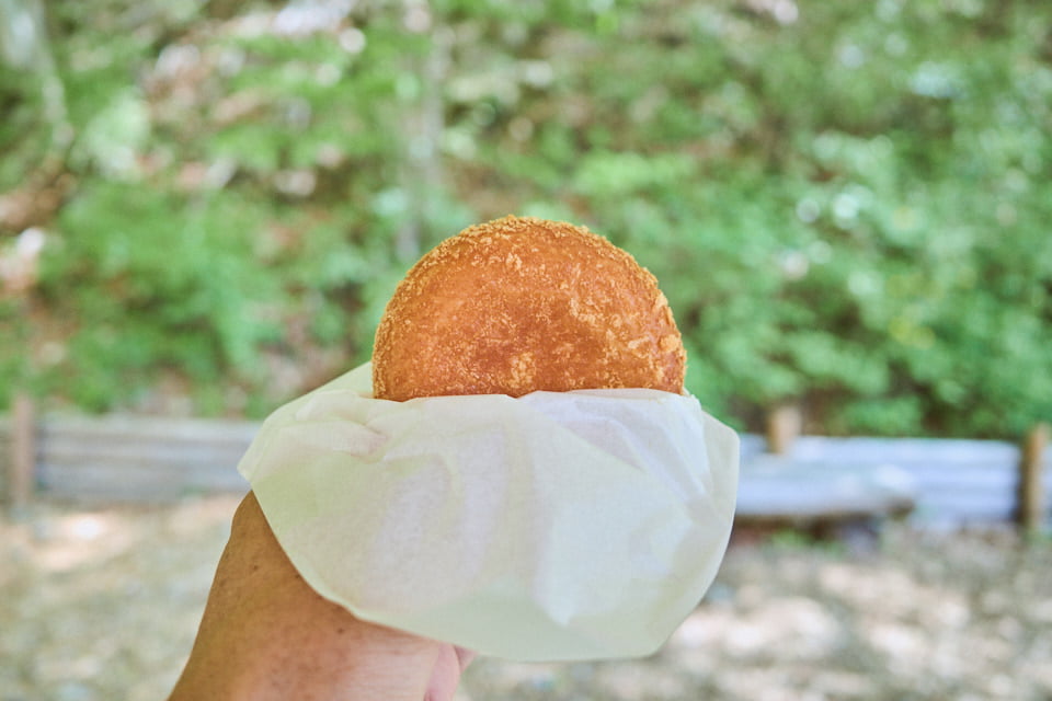 都民の森のカレーパン。