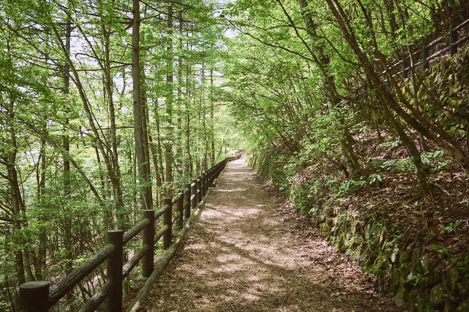 東京都檜原村、都民の森。