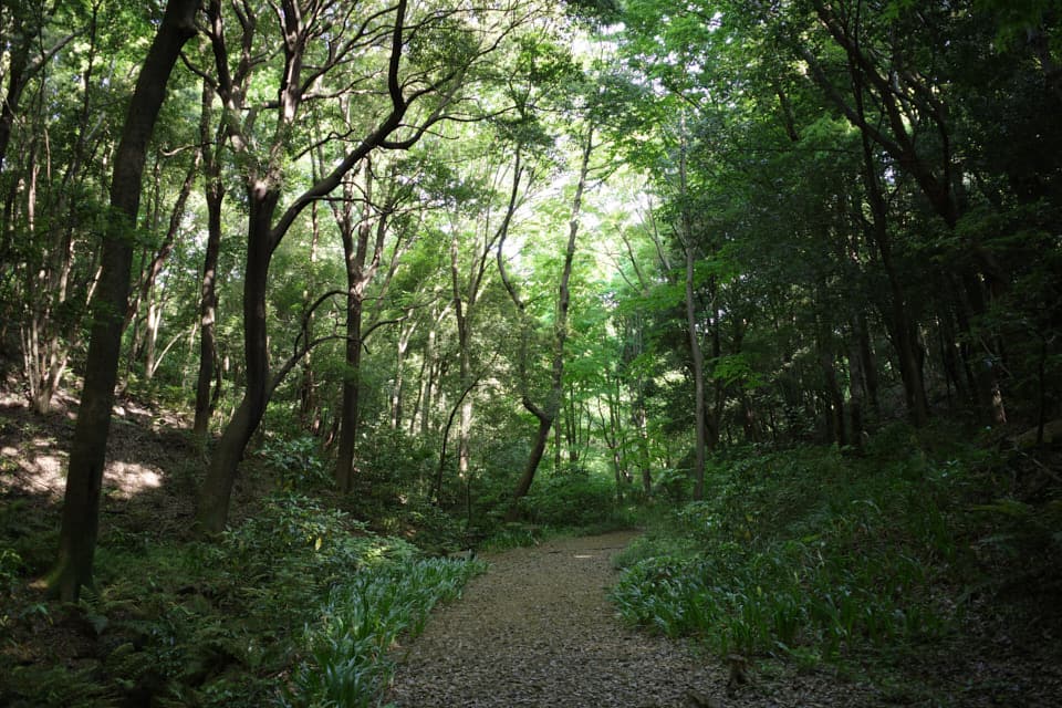 ニーコ　水辺の家と小鳥たち　シーグラス／天然石／自然／森 シーグラスで観葉植物を作りました｜CS60佐倉ヒーリングサロン