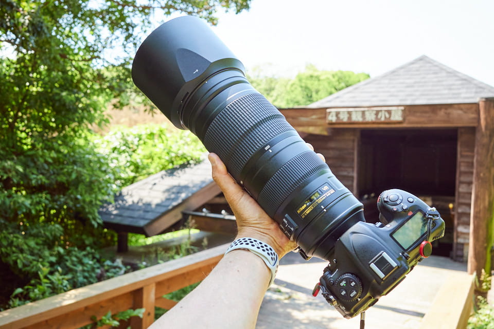 D500とAF-S NIKKOR 200-500mm f/5.6E ED VR。東京港野鳥公園で