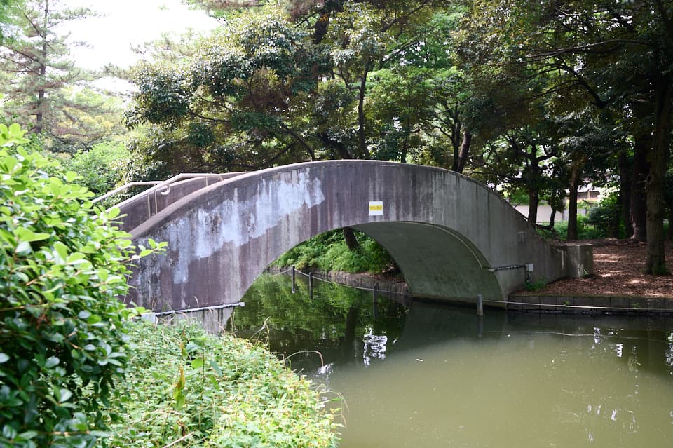 石神井公園の写真。