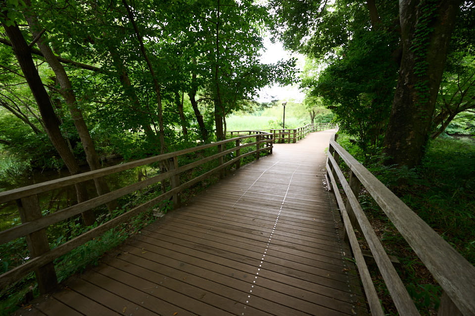 NIKKOR Z 14-30mm f/4 Sで撮影した画像。