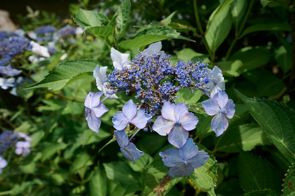 NIKKOR Z 14-30mm f/4 Sで撮影した画像。