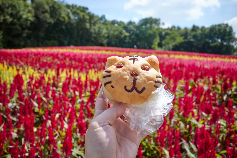 ベーカリー コパン（BAKERY COPAN）の猫パン。