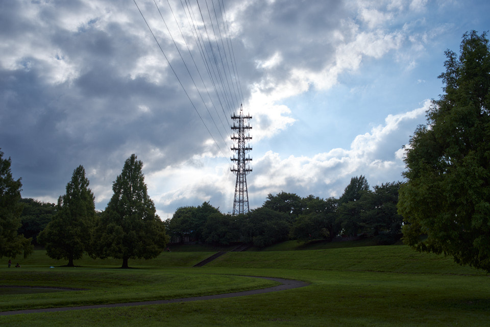 HD PENTAX-FA 31mmF1.8 Limitedで撮影した写真。