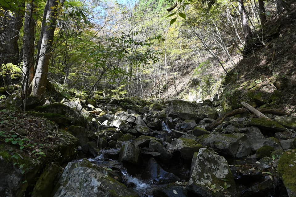 三頭山の登山道の様子。