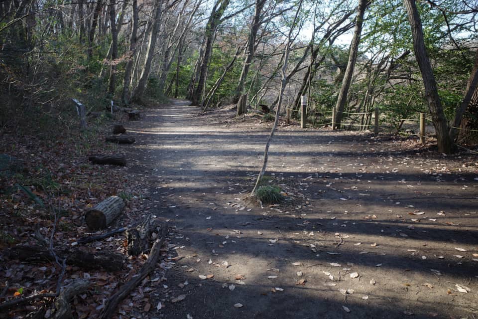 北本自然観察公園、標柱５番付近。