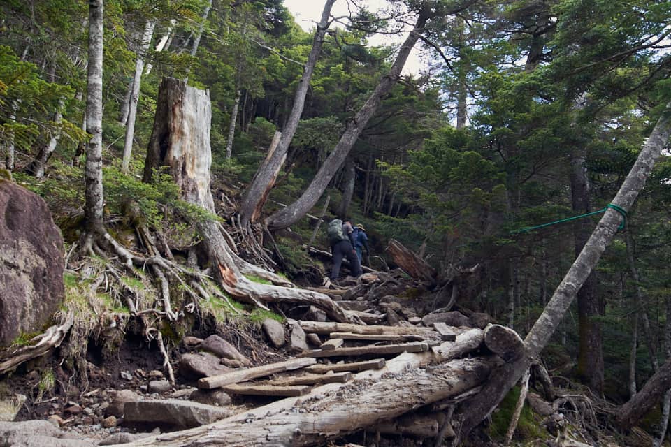 北横岳の登山道、登り。