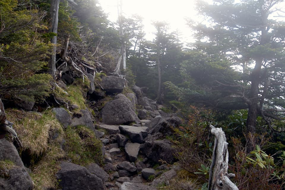 北横岳の登山道、霧出てくる。
