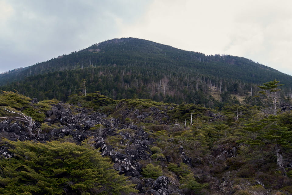 坪庭から見た縞枯山。