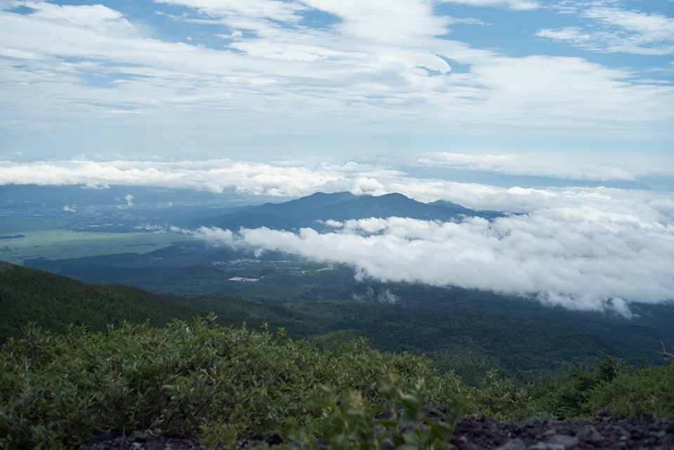 登山道からの眺め。