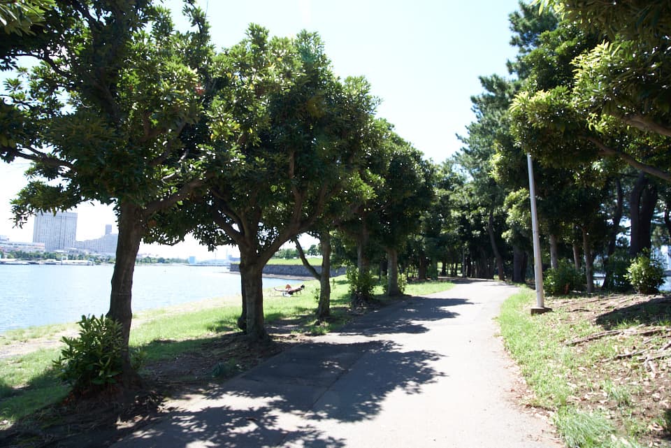 HD PENTAX-DA 20-40mmF2.8-4ED Limited DC WRをK-1markⅡのフルサイズ