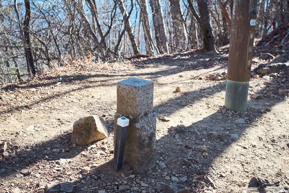 三頭山東峰の三等三角点。