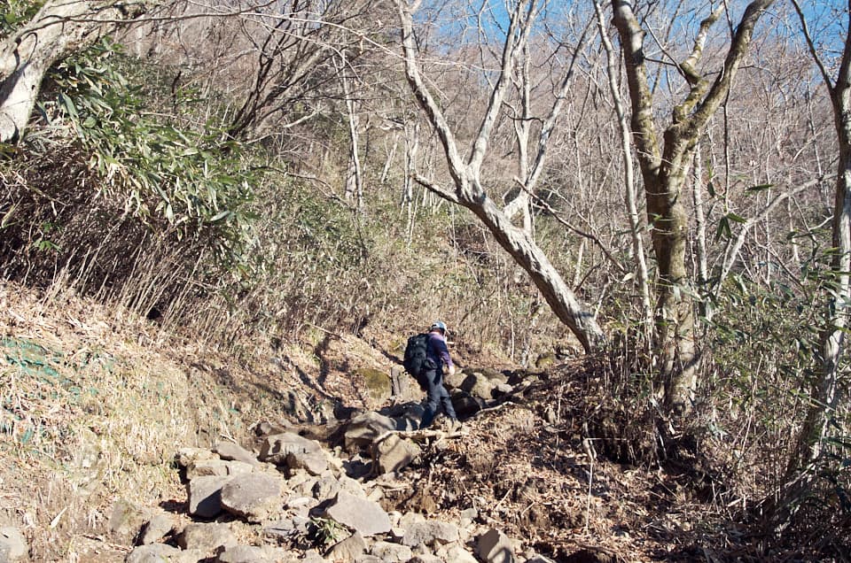 乙女峠までの登山道の様子。