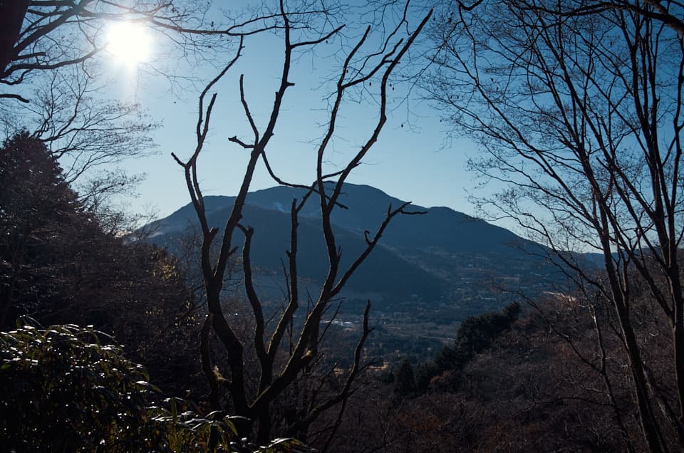台ヶ岳が見えたいました。