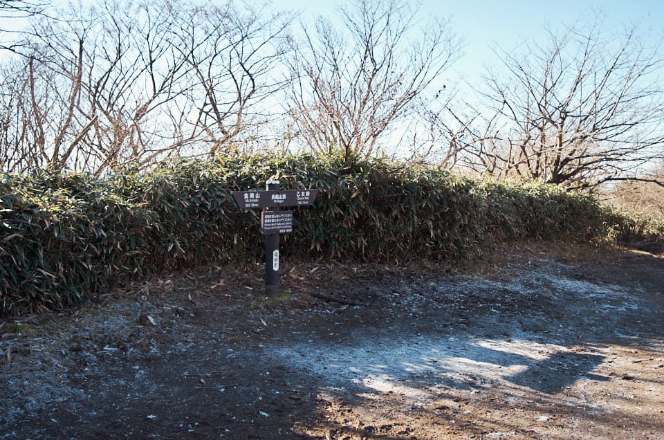 乙女峠、長尾山頂。