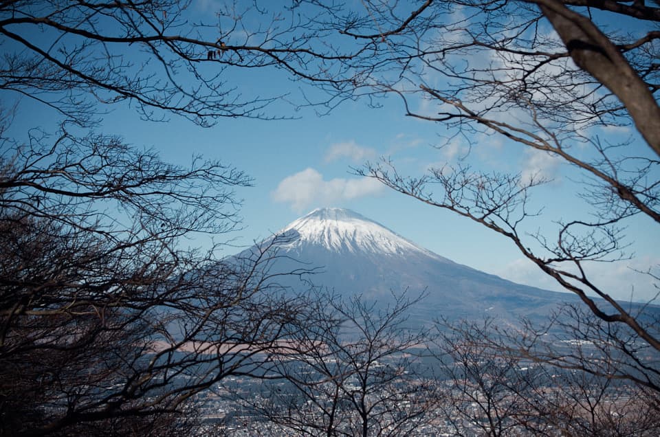 乙女峠〜金時山の木々の枝から見えた富士山。