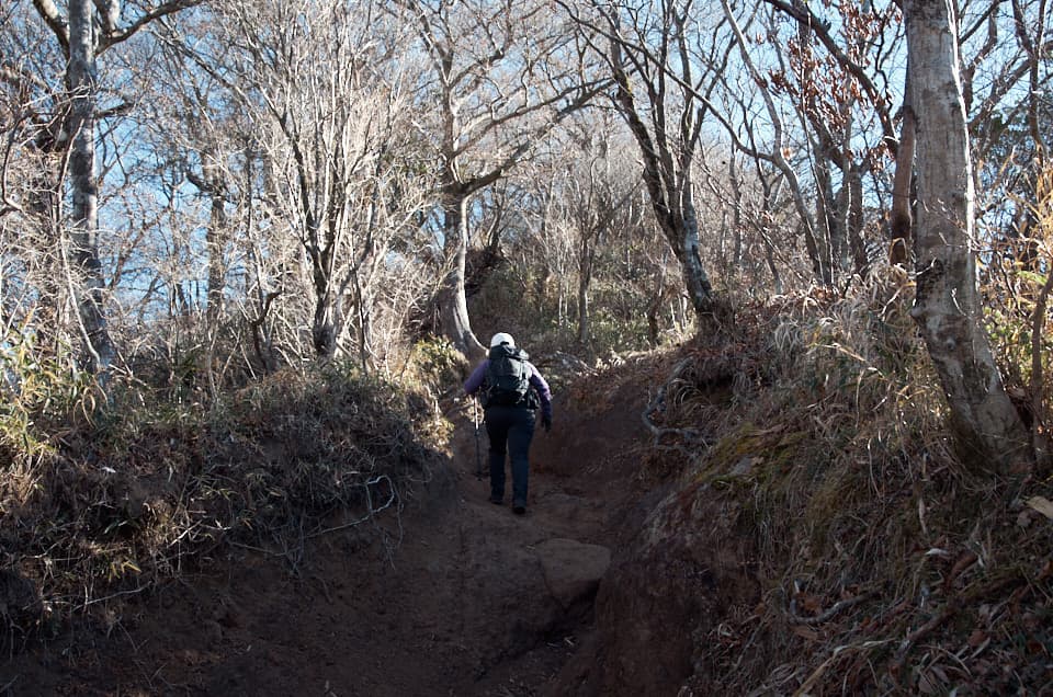 金時山の手前、あとひと頑張り。