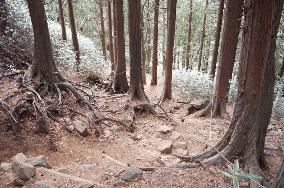 公時神社への下りの樹林帯歩き。
