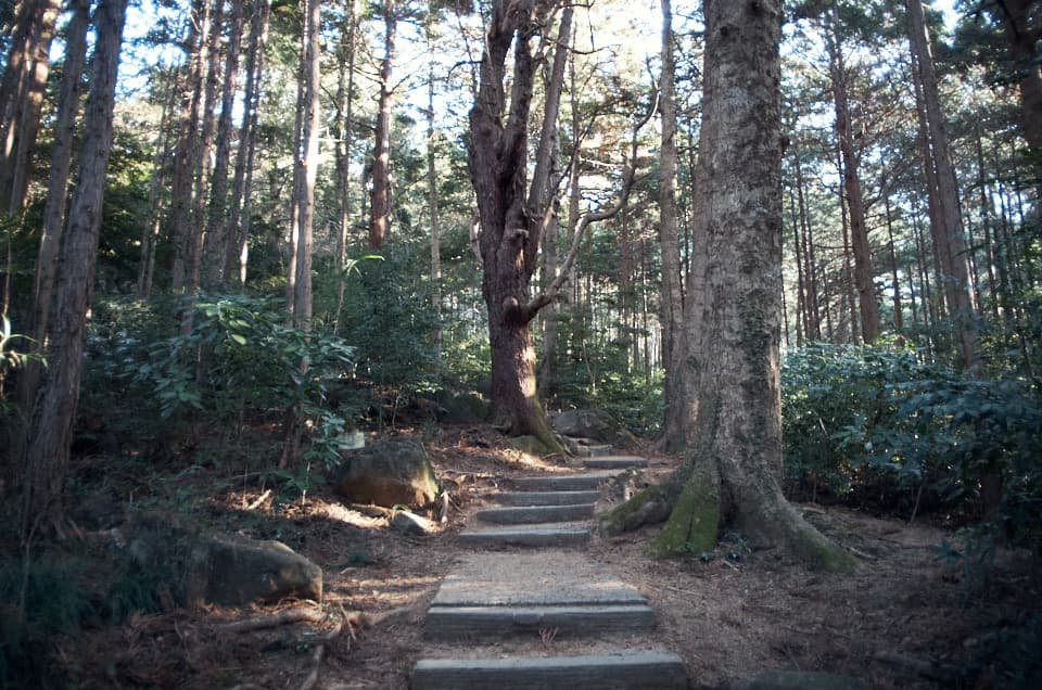 筑波山白雲橋コース。