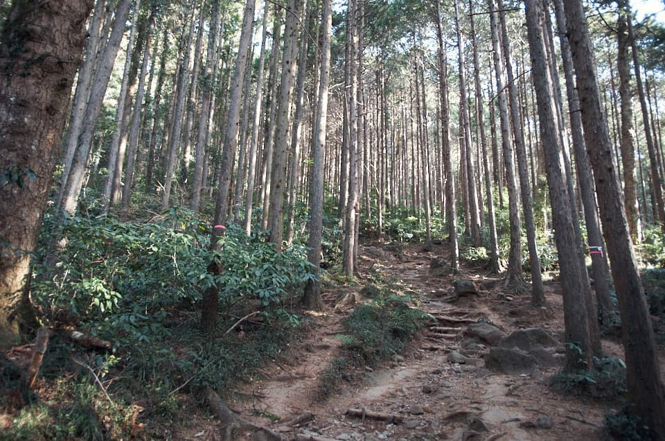 筑波山の登山道の様子。