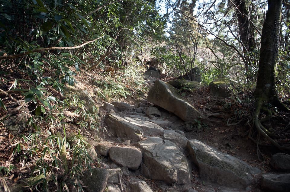 筑波山の登山道。