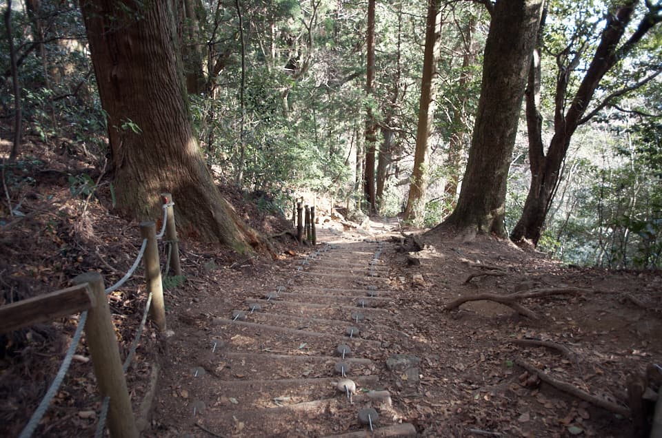 筑波山、御幸ヶ原コースの下り。