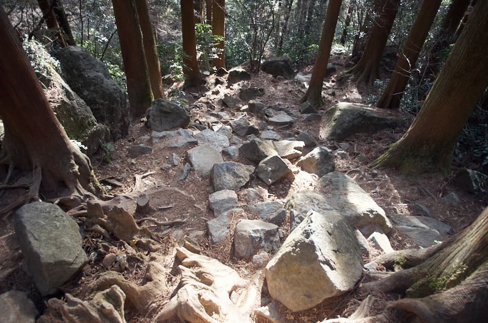 御幸ヶ原コースの石がゴロゴロする場所。