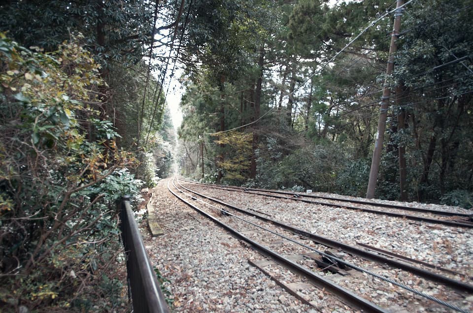 ケーブルカーの線路が見られます。