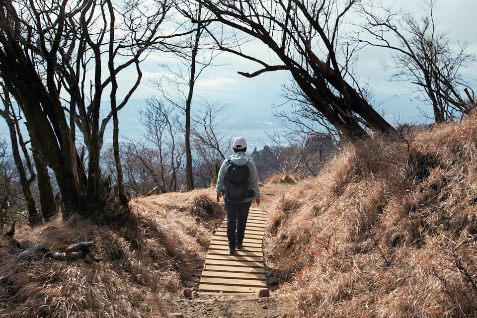 大山(丹沢)へ登山に行ってきた。