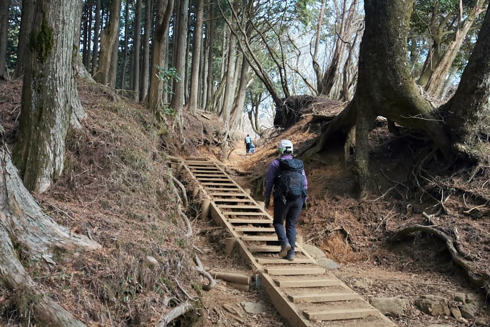 山頂までの登山道。