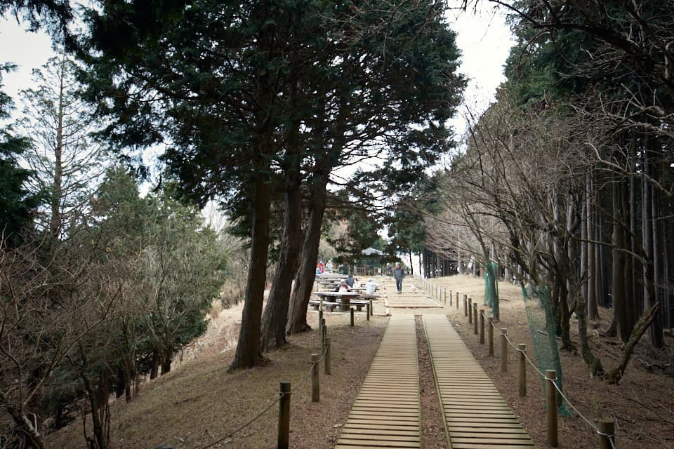 大山の見晴台。