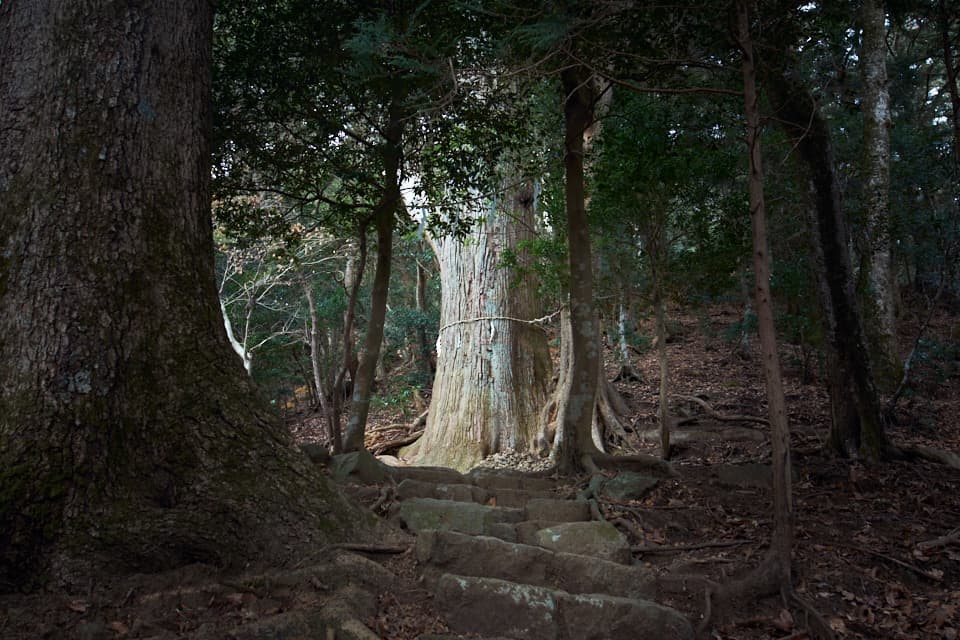 大山の穴場のパワースポット。