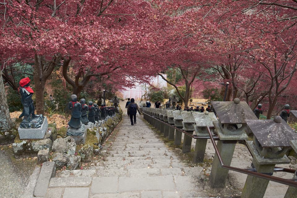 大山寺の階段。