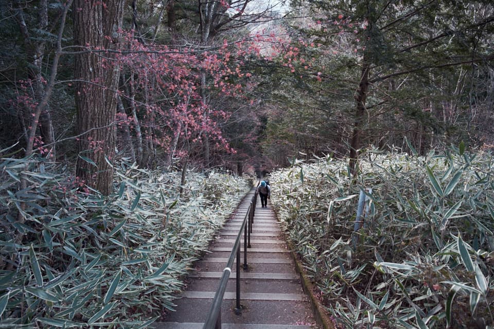 石割神社の階段を上から見たところ。