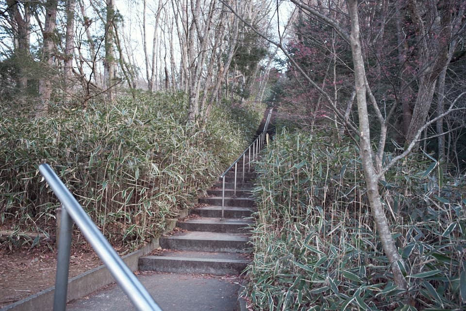 折り返した先にも続く階段。