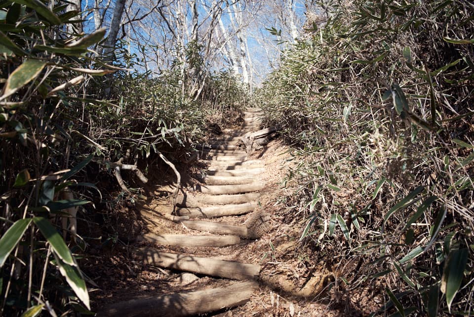 石割神社奥社からの登山道。