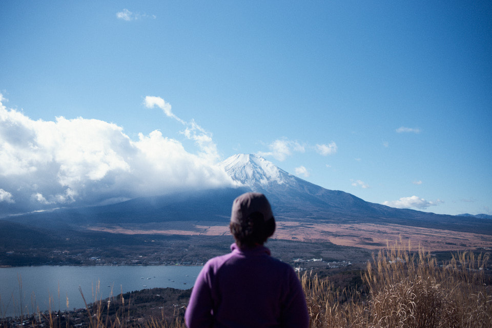 富士山を見入っている。