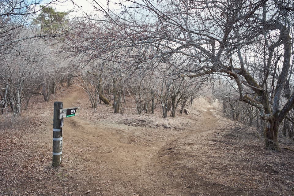 石割神社駐車場への分岐。
