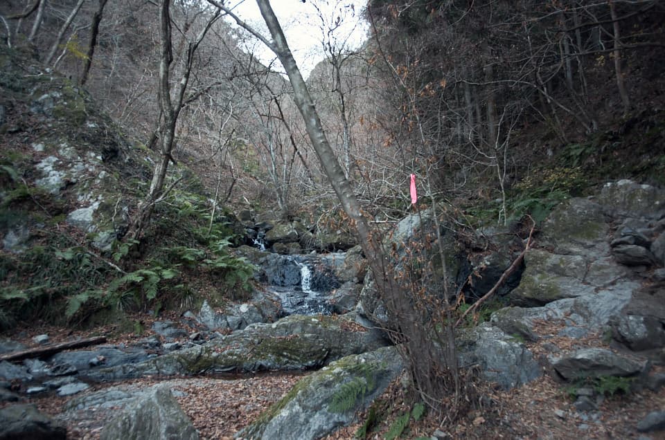 棒ノ折山の登山道。