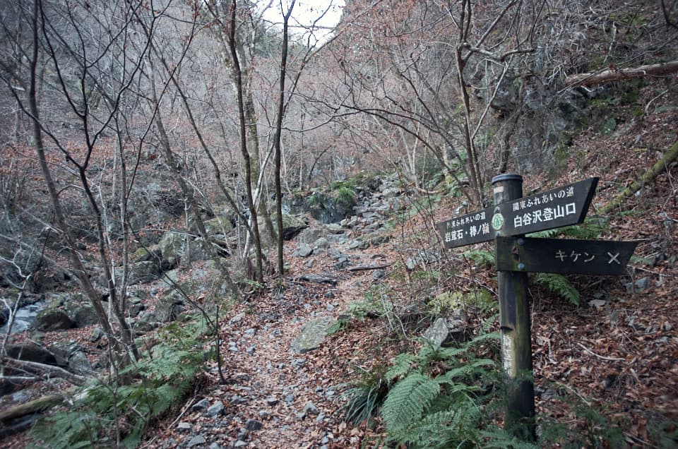 棒ノ折山の登山道2