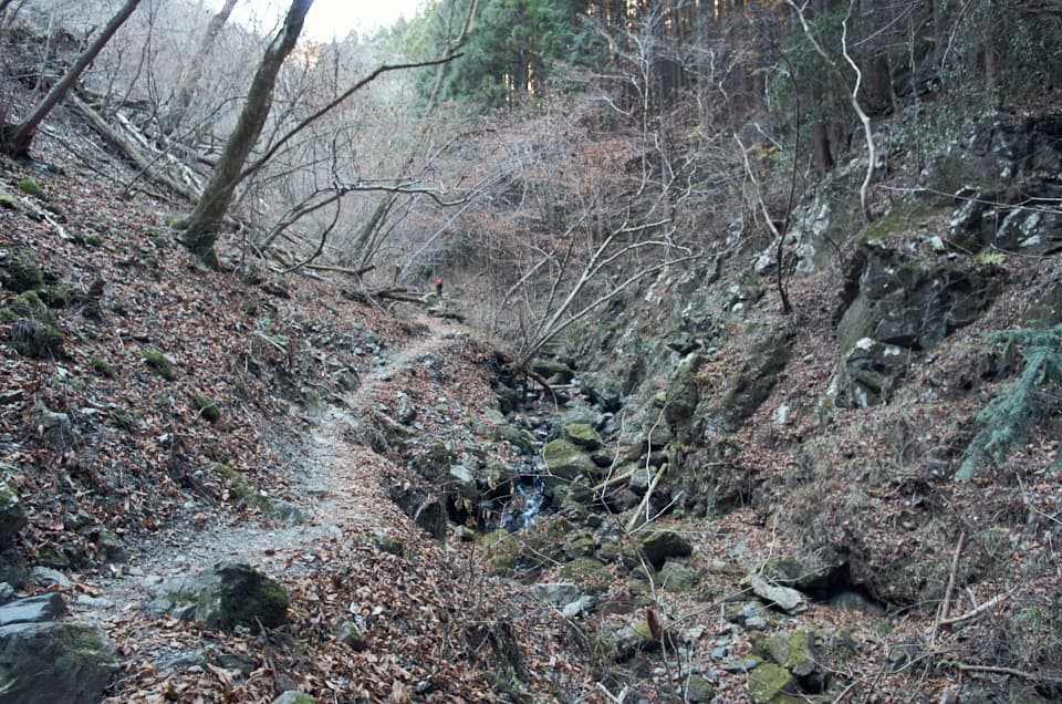 棒ノ嶺（棒ノ折山）の登山道。