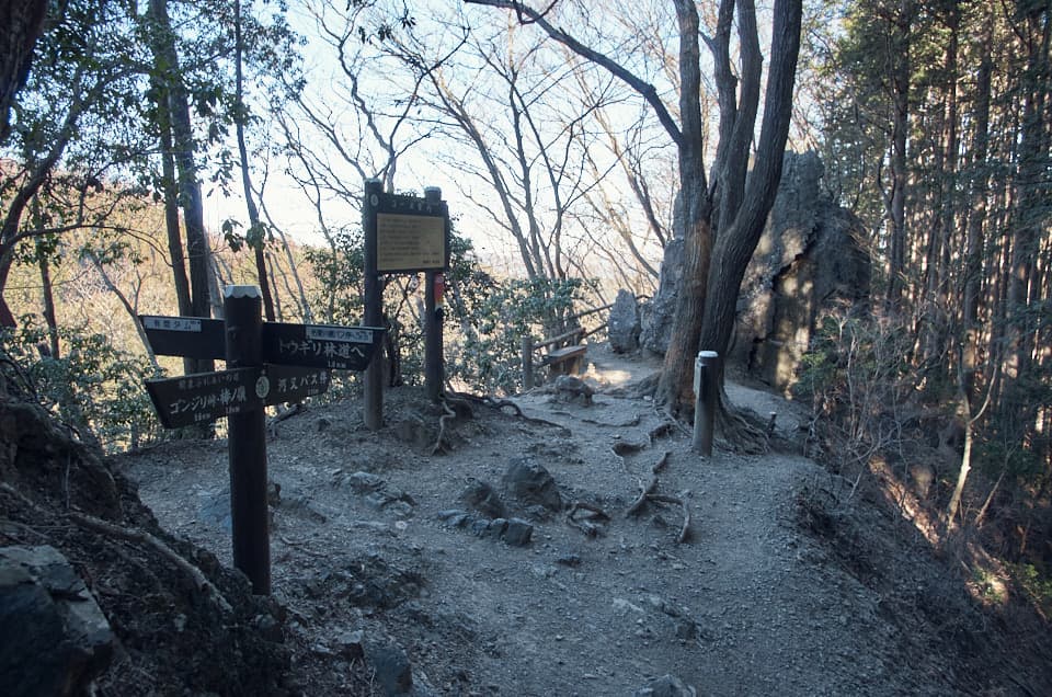岩茸石の分岐。
