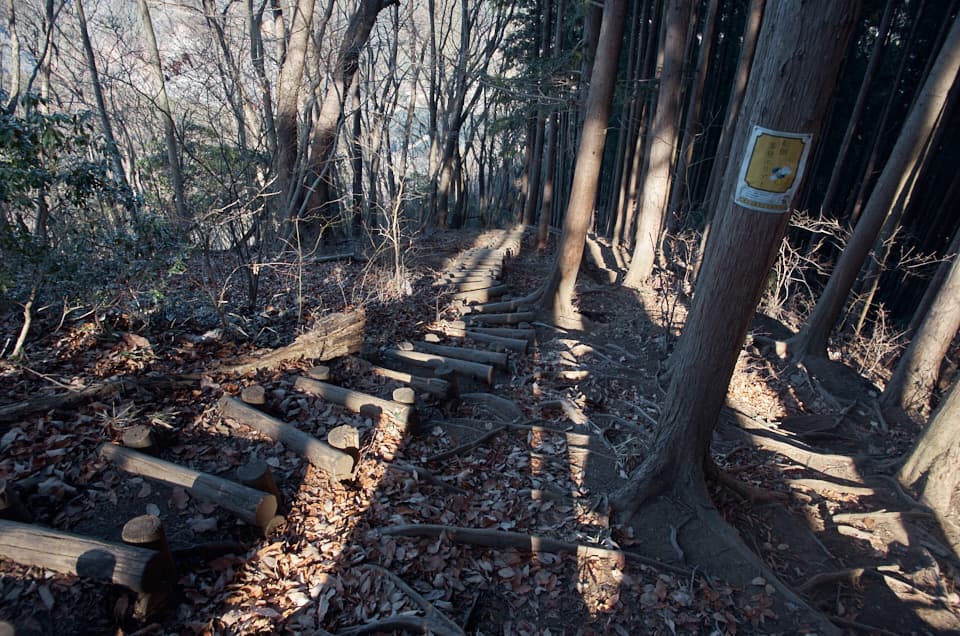 転倒多発エリアの下山道。
